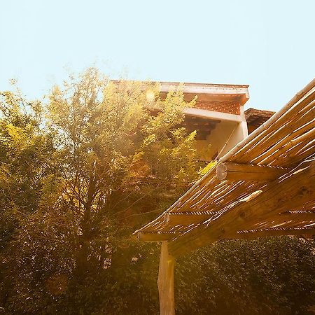 Casa Huijazoo Nature & Balance Hotel Mazunte Esterno foto