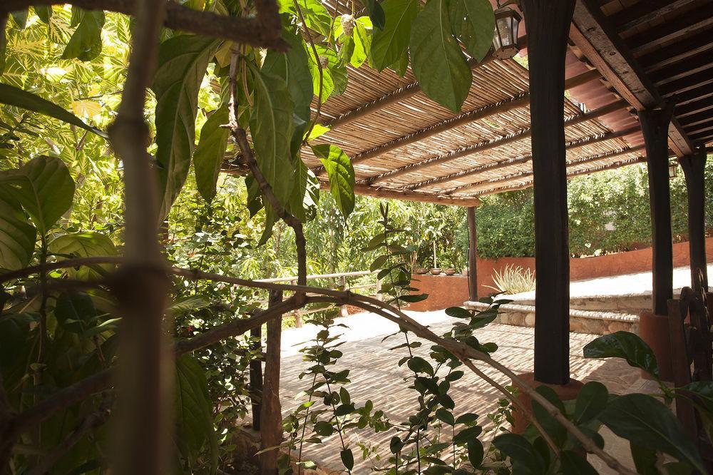 Casa Huijazoo Nature & Balance Hotel Mazunte Esterno foto